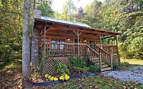 Peaceful Tellico View Home With Private Hot Tub